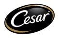 cesar-logo-01